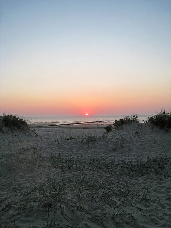 NP0512_2 (109).jpg